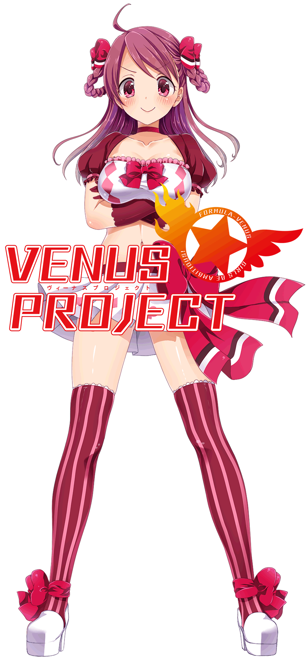 VENUS PROJECT